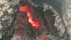 কুড়িগ্রামে শতবর্ষী গাছের ভিতর জ্বলছে আগুন