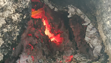 কুড়িগ্রামে শতবর্ষী গাছের ভিতর জ্বলছে আগুন