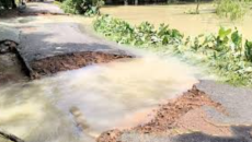 নামছে বন্যার পানি কমছে, ভেসে উঠছে ক্ষতচিহ্ন