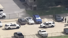 যুক্তরাষ্ট্রে গাড়িতে আটকে গরমে ৯ বছরের শিশুর মৃত্যু