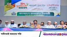 জনগণের মতের বিরুদ্ধে দাঁড়ালে আওয়ামী লীগের পরিণতি হবে: ড. হেলাল উদ্দিন