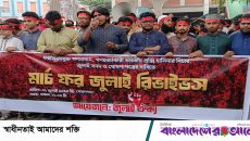 জুলাই সনদ দিতে হবে সরকারকেই: জাতীয় জাদুঘরের সামনে ‘জুলাই ঐক্য’র ঘোষণা