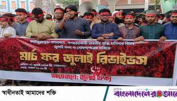 জুলাই সনদ দিতে হবে সরকারকেই: জাতীয় জাদুঘরের সামনে ‘জুলাই ঐক্য’র ঘোষণা