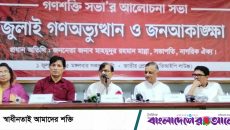 যেসব ইস্যুতে ঐক্যমত হবে, সেসবেই হবে সংস্কার: মাহমুদুর রহমান মান্না