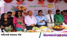 দেশি ফলের সমাহারে পিরোজপুর বিজ্ঞান ও প্রযুক্তি বিশ্ববিদ্যালয়ের উৎসব