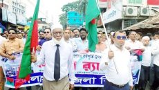 ঝালকাঠিতে জেলা বিএনপির উদ্যোগে বিজয়  র‍্যালী ও আলোচনা সভা অনুষ্ঠিত