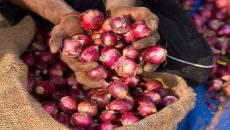 পেঁয়াজের বাজারে আবার সিন্ডিকেটের থাবা