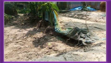 বদলগাছীতে হিন্দু পরিবারের চলাচলের রাস্তায় বাধা: এলাকায় উত্তেজনা