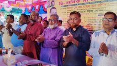 নবীনগরে শহীদ জিয়ার আদর্শে কৃষকদের অধিকার প্রতিষ্ঠার অঙ্গীকার 