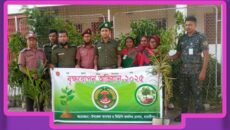 মাদারীপুরে আনসার ভিডিপি”র উদ্যোগে চারা রোপন কর্মসূচী পালিত