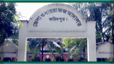ফরিদপুরে স্ত্রী হত্যার দায়ে স্বামীর যাবজ্জীবন কারাদণ্ড