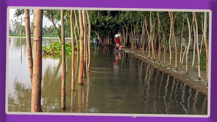 উত্তরের চার জেলা প্লাবিত হতে পারে: তিস্তা-দুধকুমারের পানি বিপৎসীমায়