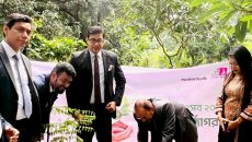 তারুণ্যের উৎসব উপলক্ষ্যে পদ্মা ব্যাংকের বৃক্ষরোপণ