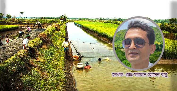 মাছে-ভাতে বাঙালি: ঐতিহ্যের গর্ব থেকে সংকটের বাস্তবতা