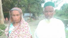 মতলব উত্তরে আমড়া পাড়াকে কেন্দ্র করে পুত্রবধূর আঘাতে শ্বশুর গুরুতর আহত