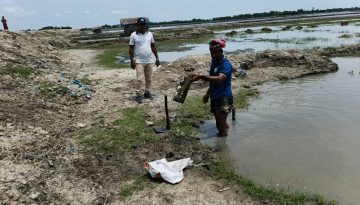 কয়রায় চিংড়ি ঘেরের অবৈধ পাইপ উচ্ছেদ অভিযান