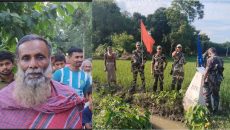 বাংলাদেশি কৃষককে ধরে নেওয়ার ৭ ঘণ্টা পর বিজিবির তৎপরতায় ফেরত দিল বিএসএফ