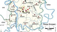 শিবচরে তারেক রহমানের ৩১ দফার লিফলেট বিতরণকালে সংঘর্ষে আহত ২০