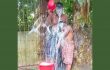 মুকসুদপুরে স্ত্রীকে তালাক দিয়ে ছেলেকে সাথে নিয়ে দুধ দিয়ে গোসল