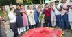 মতলব দক্ষিণে শহীদ রাব্বি আলমের কবর জিয়ারত করলেন তানভীর হুদা