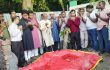 মতলব দক্ষিণে শহীদ রাব্বি আলমের কবর জিয়ারত করলেন তানভীর হুদা