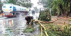 পাকিস্তানের খাইবার পাখতুনখোয়ায় ভারি বর্ষণে ৪৩ জনের মৃত্যু