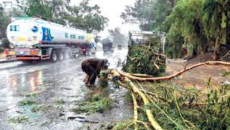 পাকিস্তানের খাইবার পাখতুনখোয়ায় ভারি বর্ষণে ৪৩ জনের মৃত্যু