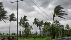 দেশের ৭ জেলায় ঝড়-বৃষ্টির পূর্বাভাস