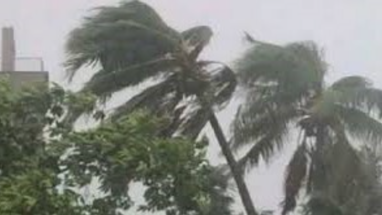 ঢাকাসহ ৬ জেলায় ঝড়-বৃষ্টির আভাস