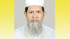 উপদেষ্টা মাহফুজ আলমের বাবা হলেন ইউনিয়ন বিএনপির সাধারণ সম্পাদক