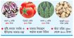 গরিবের সবজিতে আগুন