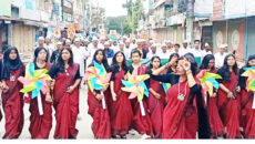 মাগুরায় জমকালো আয়োজনে দিনব্যাপী বিতর্ক উৎসব