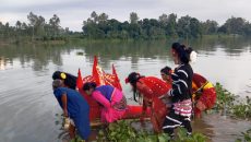 টাঙ্গাইলে বেহুলা লক্ষিন্দরে কাহিনী দিনব্যাপী যমুনা নদীতে শাওনে ডালা অনুষ্ঠিত