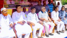 সবাই মিলে ধানের শীষের পক্ষে কাজ করবো: কাজী কামাল