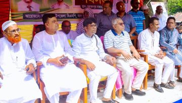 সবাই মিলে ধানের শীষের পক্ষে কাজ করবো: কাজী কামাল