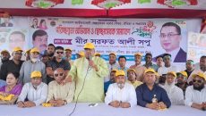 পিআর পদ্ধতির নামকরে নির্বাচন পেছাতে ষড়যন্ত্র চলছে: মীর সরফত আলী সপু
