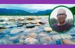 ভোলাগঞ্জের সাদা পাথর লুট ও পাহাড়ি সম্পদের অবৈধ শোষণ নিয়ে উদ্বেগ