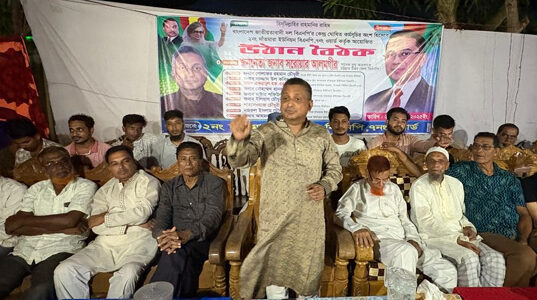 নির্বাচনবিরোধী ষড়যন্ত্র চালানো হচ্ছে: বিএনপি নেতা সরওয়ার আলমগীর