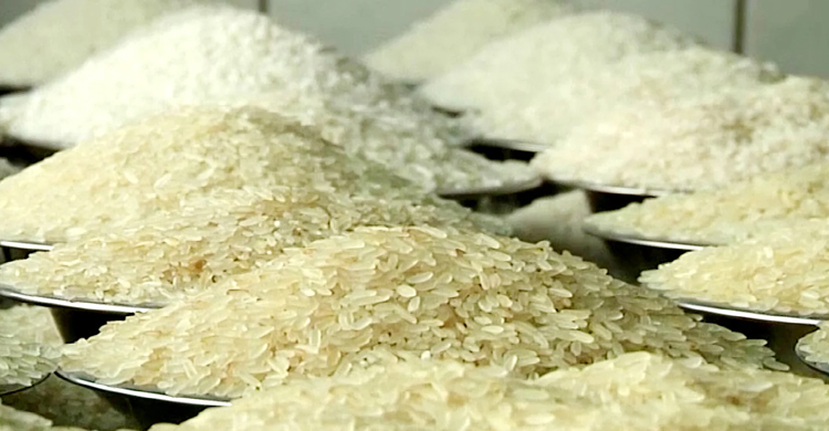 নকল চাল শনাক্তের ঘরোয়া পরীক্ষা নিয়ে সতর্কতা