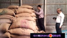 রাজশাহীর বাগমারায় খাদ্য গুদামে ১৬শ মেট্রিক টন পচা চাউল, তদন্ত শুরু