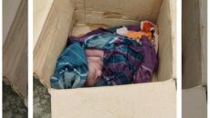 চাঁদপুরে মৃত বলে কবরস্থানে আনা শিশু জীবিত উদ্ধার, স্থানীয়রা ক্ষুব্ধ