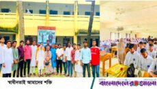 ছেংগারচর সরকারি কলেজে নবীন বরণে ছাত্রদলের উষ্ণ অভ্যর্থনা