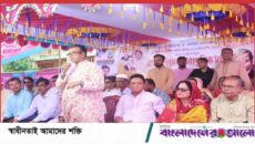 মেঘনায় চলছে বিএনপির আনন্দ উৎসব