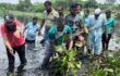 উত্তরায় খাল পরিচ্ছন্নতায় তৃণমূল সক্রিয়, নেতৃত্বে আফাজ উদ্দিন