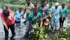 উত্তরায় খাল পরিচ্ছন্নতায় তৃণমূল সক্রিয়, নেতৃত্বে আফাজ উদ্দিন