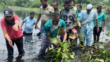 উত্তরায় খাল পরিচ্ছন্নতায় তৃণমূল সক্রিয়, নেতৃত্বে আফাজ উদ্দিন