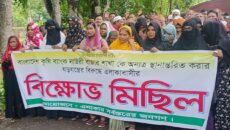 মতলব উত্তরে কৃষি ব্যাংক স্থানান্তরের প্রতিবাদে বিক্ষোভ