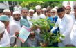 তারেক রহমানের ৩১ দফা জনমনে আশা জাগিয়েছে : কফিলউদ্দিন আহমেদ