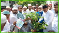 তারেক রহমানের ৩১ দফা জনমনে আশা জাগিয়েছে : কফিলউদ্দিন আহমেদ