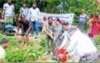 মাগুরায় বিভিন্ন জলাশয়ে ৪০০ কেজি পোনামাছ অবমুক্ত